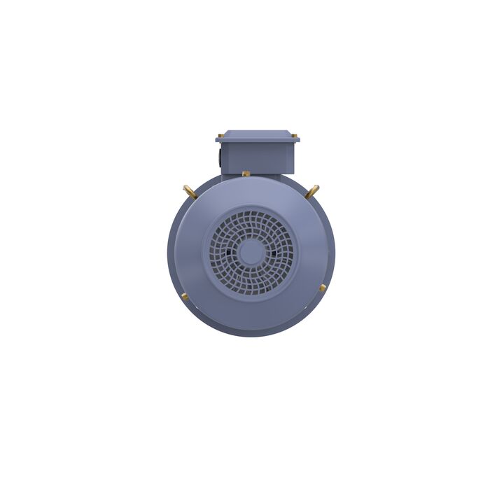 Cast Iron Motor, 5 HP, 3 Ph, 50 Hz, 415 V, 3000 RPM, 100L Frame, TEFC