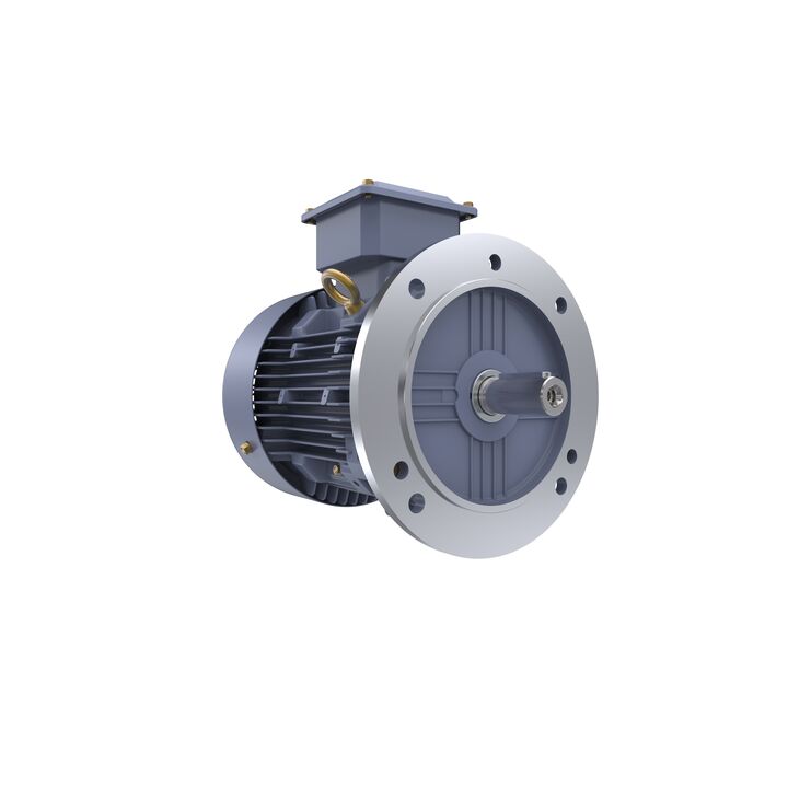 Cast Iron Motor, 5 HP, 3 Ph, 50 Hz, 415 V, 3000 RPM, 100L Frame, TEFC