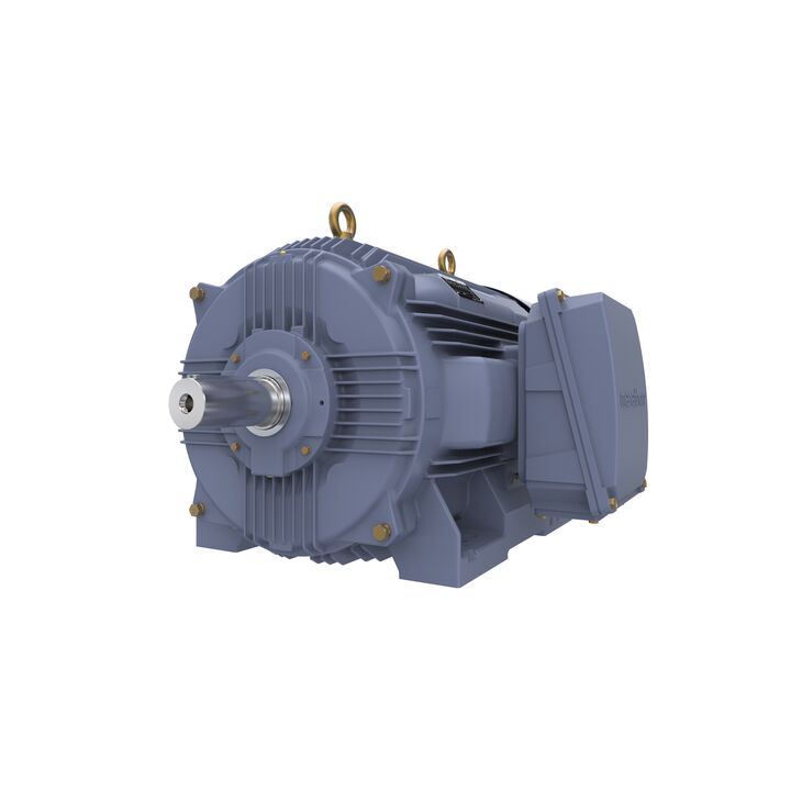 Cast Iron Motor, 150 HP, 3 Ph, 50 Hz, 380/660 V, 1000 RPM, 315L Frame, TEFC