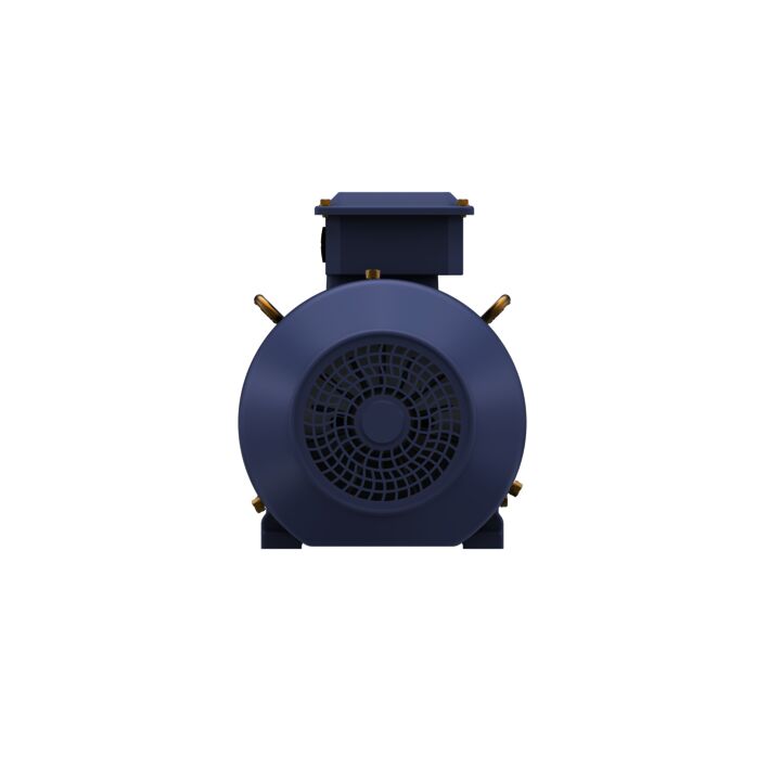 Cast Iron Motor, 5 HP, 3 Ph, 50 Hz, 415 V, 3000 RPM, 100L Frame, TEFC