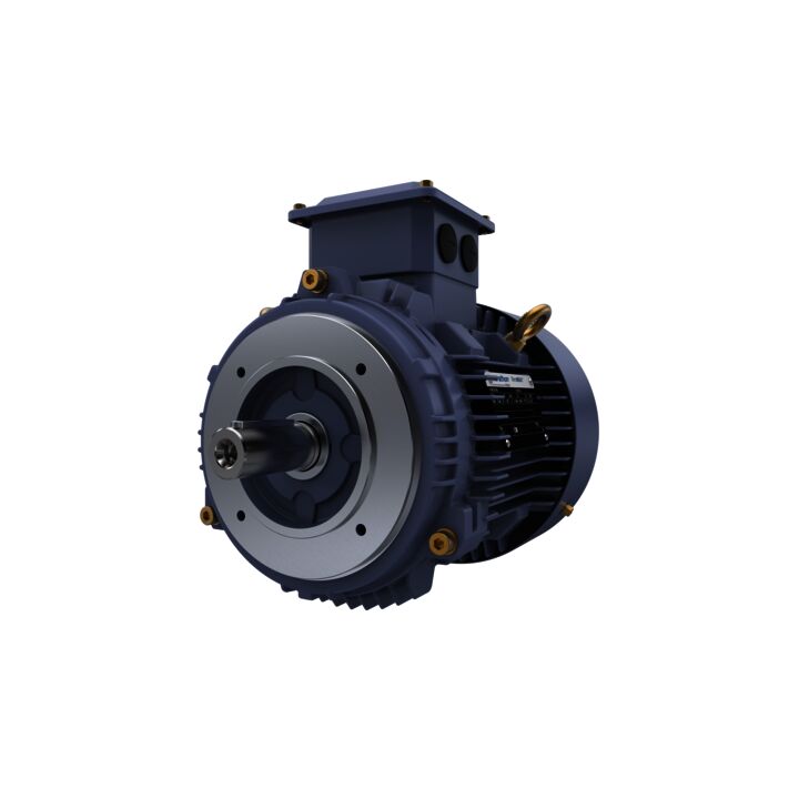 Cast Iron Motor, 2 HP, 3 Ph, 50 Hz, 415 V, 1000 RPM, 100L Frame, TEFC