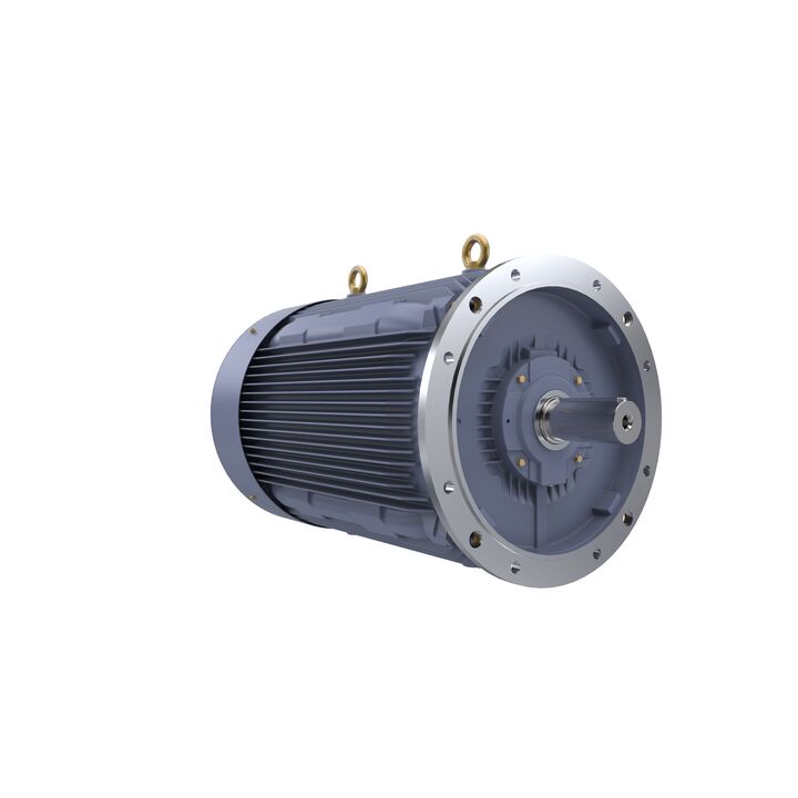 Cast Iron Motor, 150 HP, 3 Ph, 50 Hz, 415 V, 1000 RPM, 315L Frame, TEFC