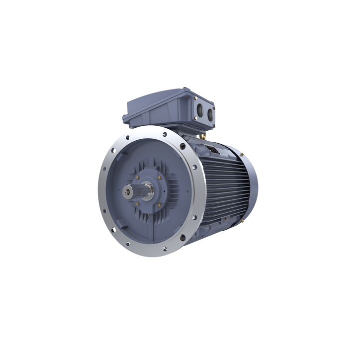 Cast Iron Motor, 150 HP, 3 Ph, 50 Hz, 380/660 V, 1000 RPM, 315L Frame, TEFC