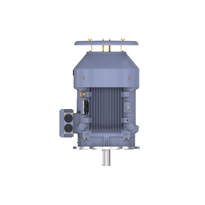 Cast Iron Motor, 75 HP, 3 Ph, 50 Hz, 380/660 V, 1500 RPM, 250M Frame, TEFC