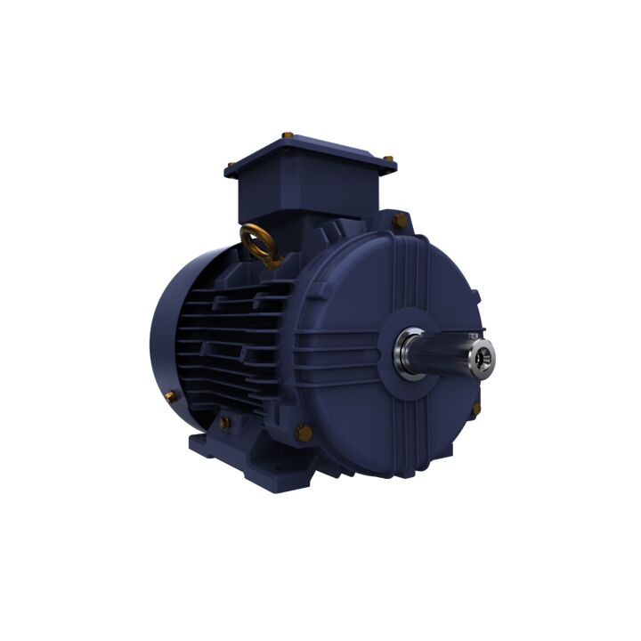 Cast Iron Motor, 5 HP, 3 Ph, 50 Hz, 415 V, 3000 RPM, 100L Frame, TEFC