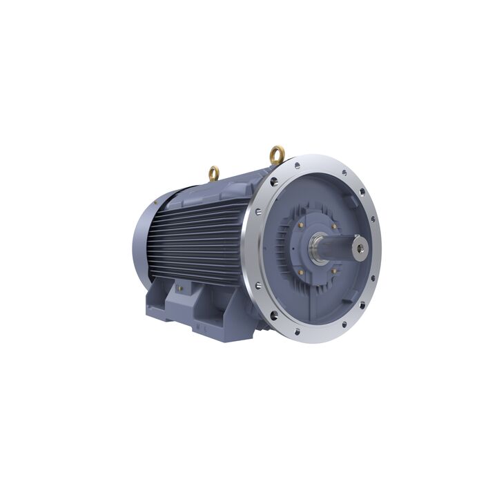 Cast Iron Motor, 150 HP, 3 Ph, 50 Hz, 400 V, 1000 RPM, 315L Frame, TEFC