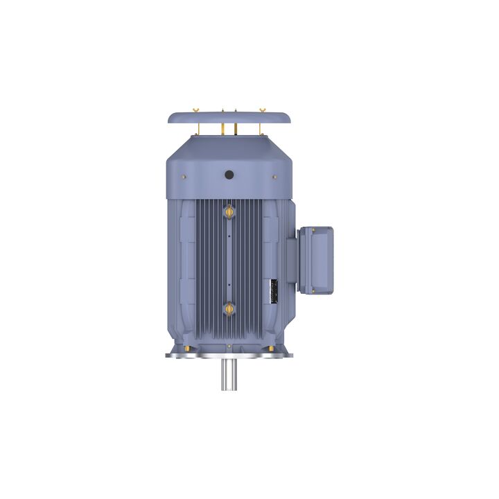 Cast Iron Motor, 150 HP, 3 Ph, 50 Hz, 415 V, 1000 RPM, 315L Frame, TEFC