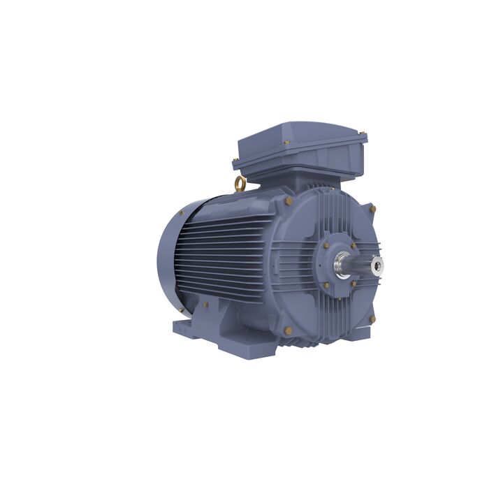 Cast Iron Motor, 150 HP, 3 Ph, 50 Hz, 380/660 V, 1000 RPM, 315L Frame, TEFC
