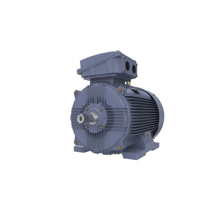 Cast Iron Motor, 150 HP, 3 Ph, 50 Hz, 380/660 V, 1000 RPM, 315L Frame, TEFC