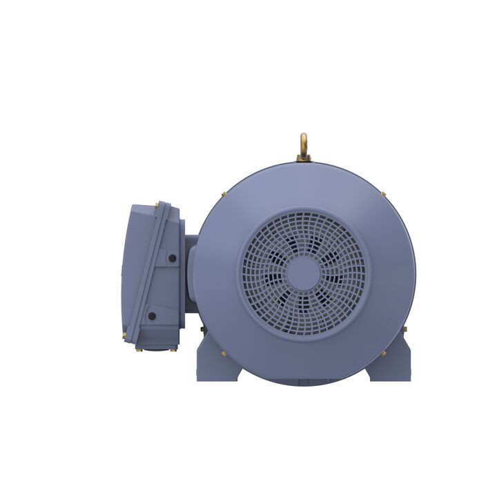 Cast Iron Motor, 150 HP, 3 Ph, 50 Hz, 380/660 V, 1000 RPM, 315L Frame, TEFC