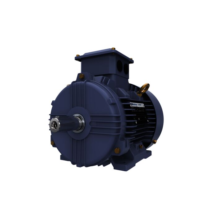 Cast Iron Motor, 5 HP, 3 Ph, 50 Hz, 415 V, 3000 RPM, 100L Frame, TEFC