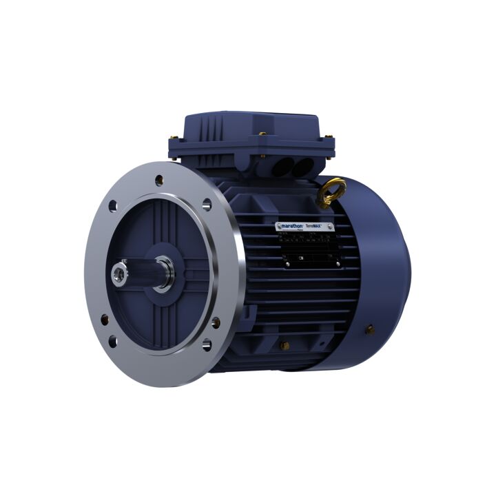 Cast Iron Motor, 4 HP, 3 Ph, 50 Hz, 415 V, 1500 RPM, 100L Frame, TEFC