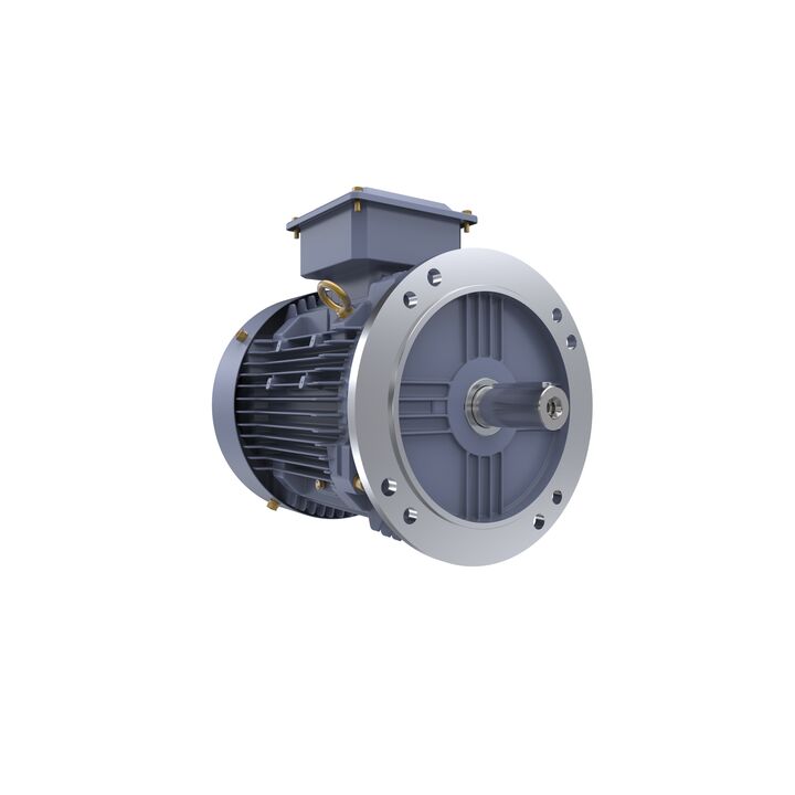 Cast Iron Motor, 10 HP, 3 Ph, 50 Hz, 400 V, 3000 RPM, 132S Frame, TEFC