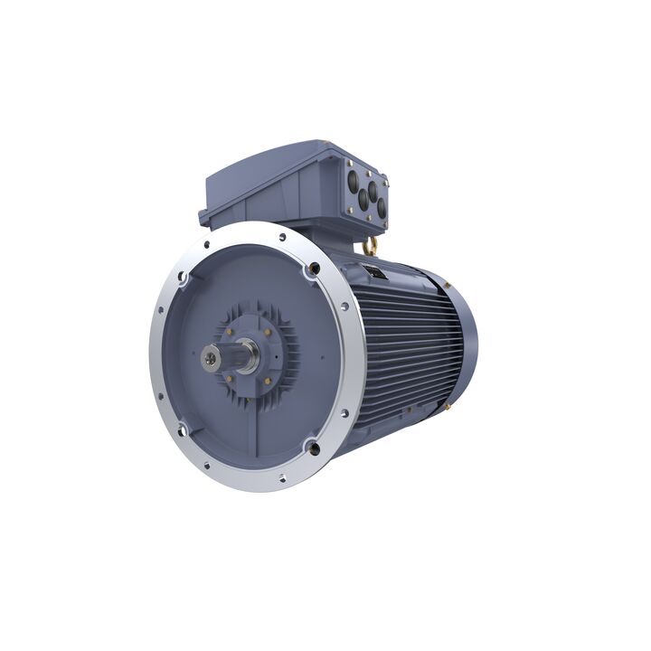 Cast Iron Motor, 150 HP, 3 Ph, 50 Hz, 400 V, 750 RPM, 355M Frame, TEFC