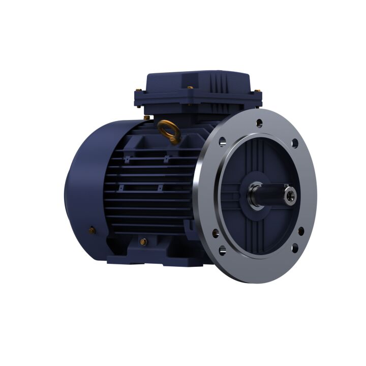 Cast Iron Motor, 4 HP, 3 Ph, 50 Hz, 415 V, 1500 RPM, 100L Frame, TEFC