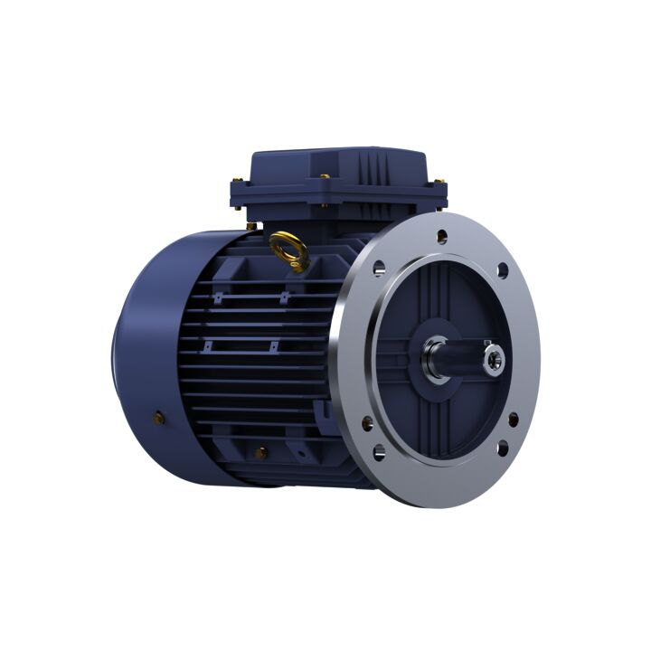 Cast Iron Motor, 4 HP, 3 Ph, 50 Hz, 415 V, 1500 RPM, 100L Frame, TEFC