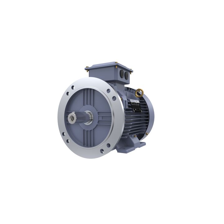 Cast Iron Motor, 7.50 HP, 3 Ph, 50 Hz, 380/660 V, 1500 RPM, 132S Frame, TEFC