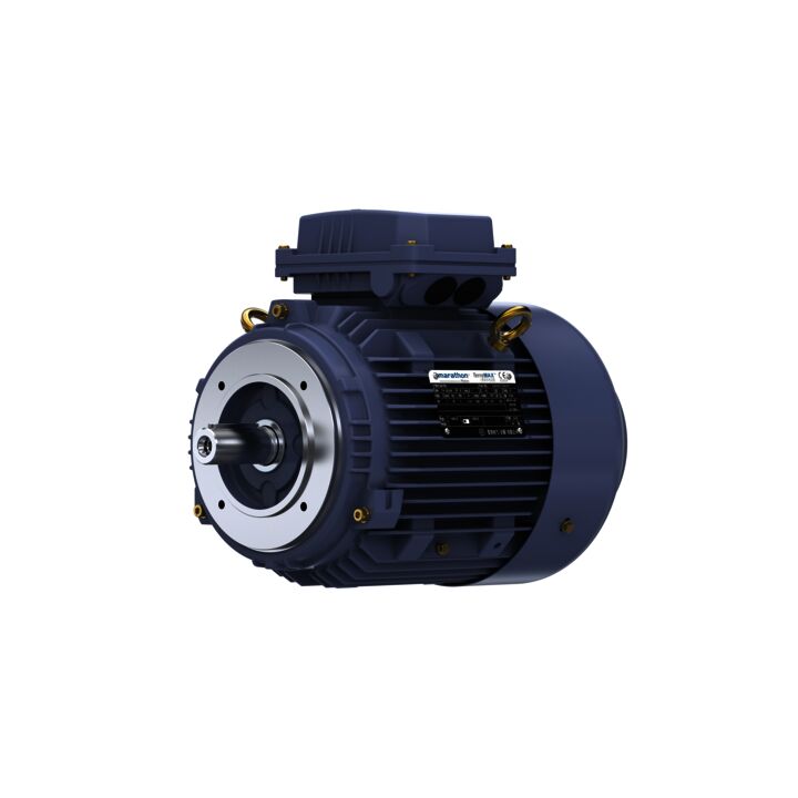 Cast Iron Motor, 4 HP, 3 Ph, 50 Hz, 380 V, 1500 RPM, 100L Frame, TEFC