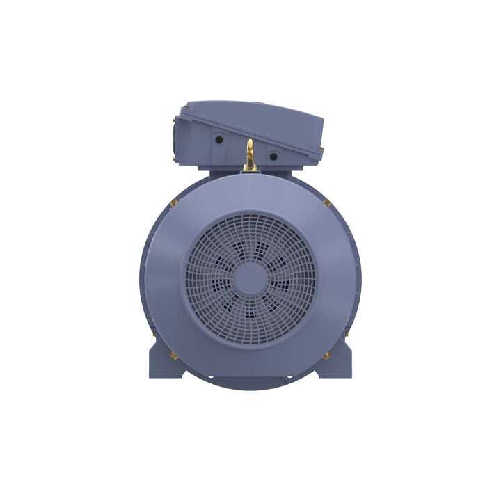 Cast Iron Motor, 150 HP, 3 Ph, 50 Hz, 380/660 V, 750 RPM, 355M Frame, TEFC