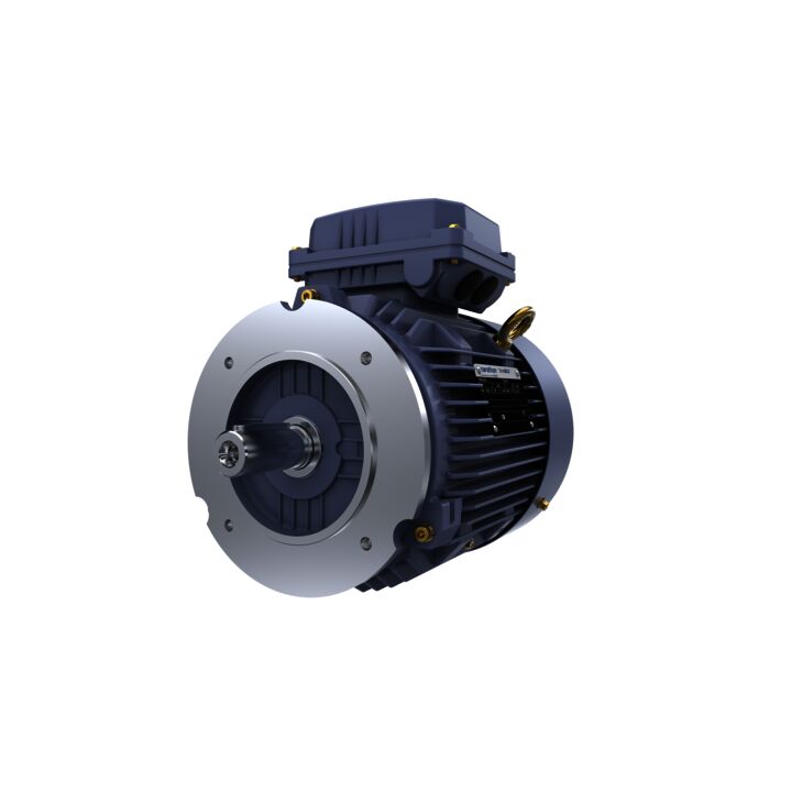 Cast Iron Motor, 4 HP, 3 Ph, 50 Hz, 415 V, 1500 RPM, 100L Frame, TEFC