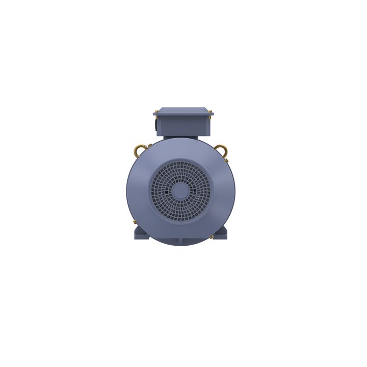 Cast Iron Motor, 7.50 HP, 3 Ph, 50 Hz, 380/660 V, 1000 RPM, 132M Frame, TEFC