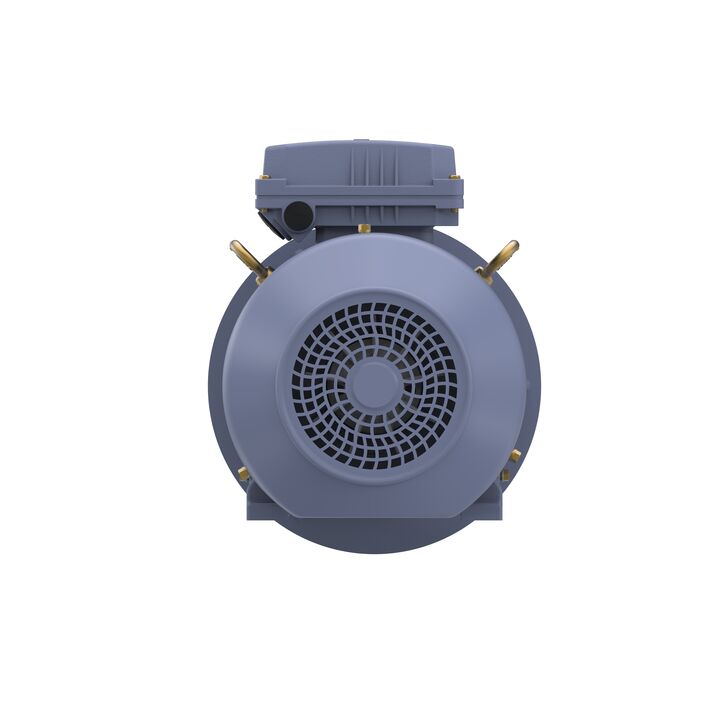 Cast Iron Motor, 4 HP, 3 Ph, 50 Hz, 400 V, 3000 RPM, 100L Frame, TEFC