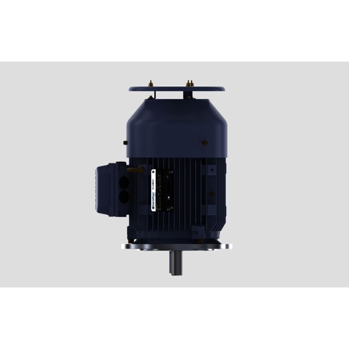 Cast Iron Motor, 4 HP, 3 Ph, 50 Hz, 415 V, 1500 RPM, 100L Frame, TEFC