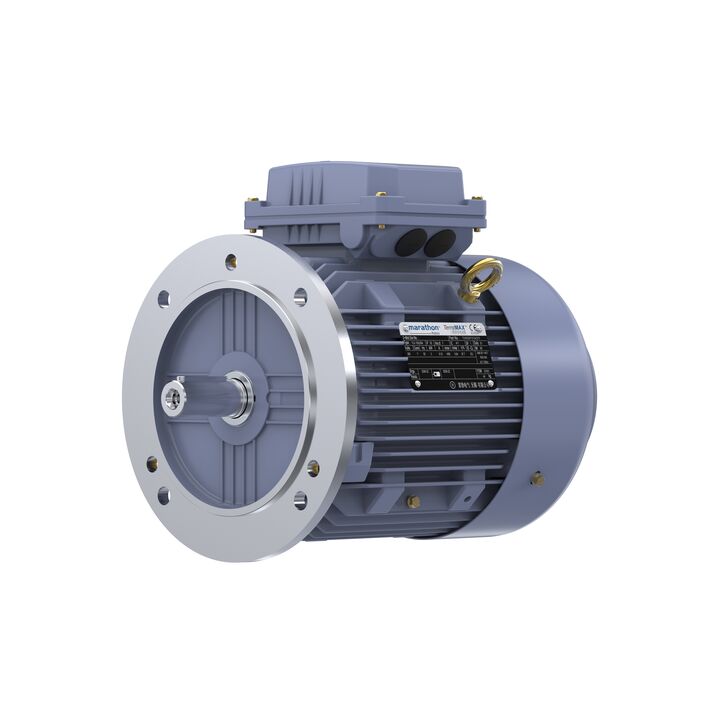 Cast Iron Motor, 3 HP, 3 Ph, 50 Hz, 380 V, 1500 RPM, 100L Frame, TEFC