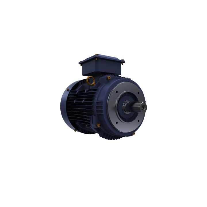 Cast Iron Motor, 10 HP, 3 Ph, 50 Hz, 415 V, 1500 RPM, 132M Frame, TEFC