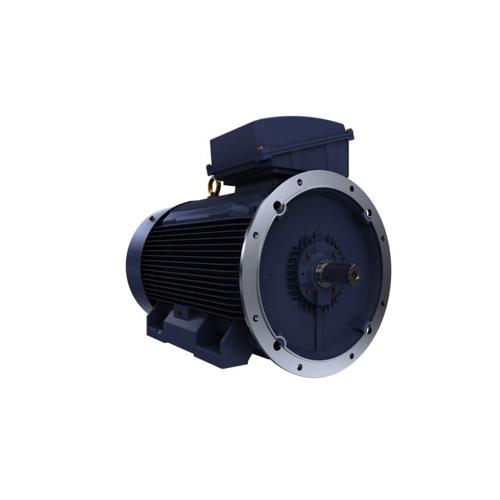 Cast Iron Motor, 250 HP, 3 Ph, 50 Hz, 400 V, 750 RPM, 355M Frame, TEFC