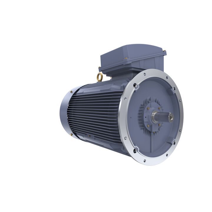 Cast Iron Motor, 150 HP, 3 Ph, 50 Hz, 400 V, 750 RPM, 355M Frame, TEFC