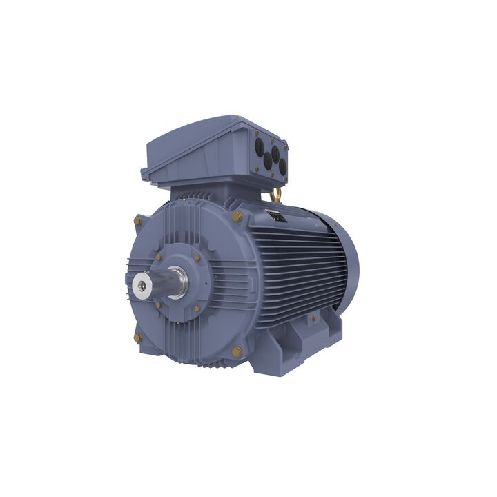 Cast Iron Motor, 150 HP, 3 Ph, 50 Hz, 380/660 V, 750 RPM, 355M Frame, TEFC