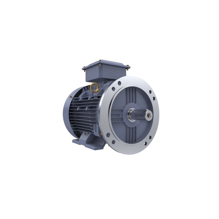 Cast Iron Motor, 7.50 HP, 3 Ph, 50 Hz, 380/660 V, 1000 RPM, 132M Frame, TEFC