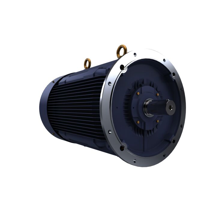 Cast Iron Motor, 503 HP, 3 Ph, 50 Hz, 415 V, 3000 RPM, 355L Frame, TEFC