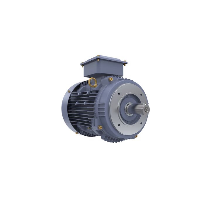 Cast Iron Motor, 7.50 HP, 3 Ph, 50 Hz, 380/660 V, 1000 RPM, 132M Frame, TEFC