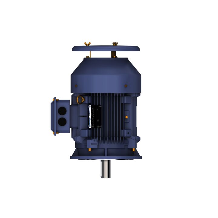 Cast Iron Motor, 10 HP, 3 Ph, 50 Hz, 415 V, 1500 RPM, 132M Frame, TEFC