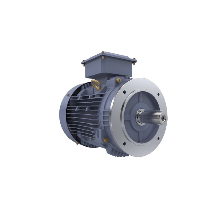 Cast Iron Motor, 10 HP, 3 Ph, 50 Hz, 380/660 V, 1500 RPM, 132M Frame, TEFC