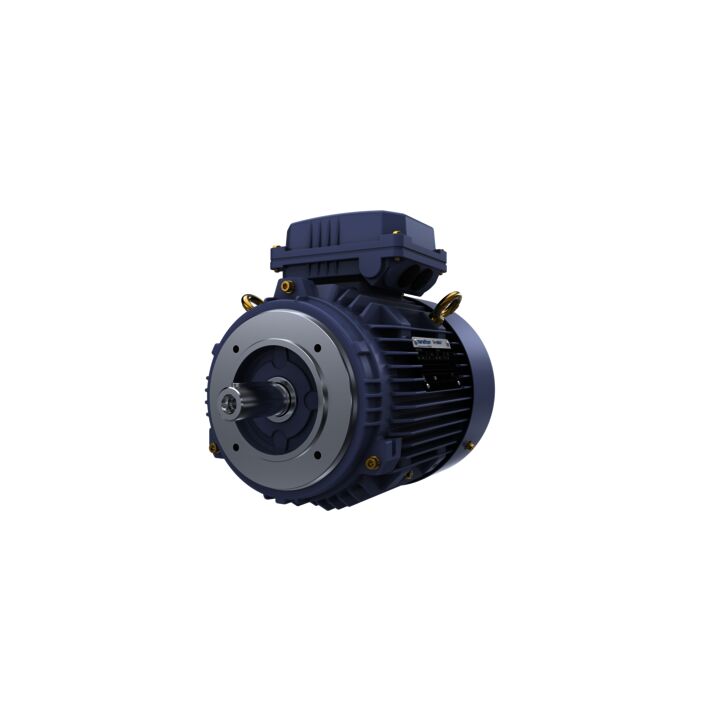 Cast Iron Motor, 4 HP, 3 Ph, 50 Hz, 400 V, 1500 RPM, 100L Frame, TEFC