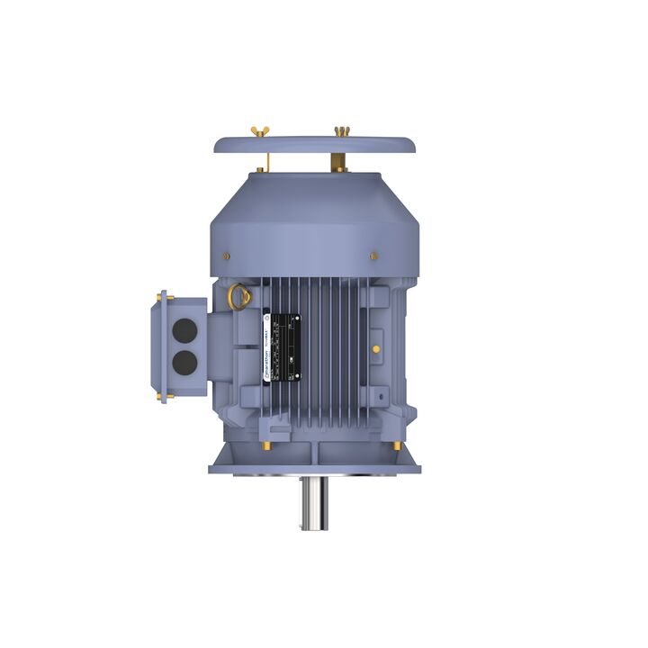 Cast Iron Motor, 7.50 HP, 3 Ph, 50 Hz, 380/660 V, 1500 RPM, 132S Frame, TEFC