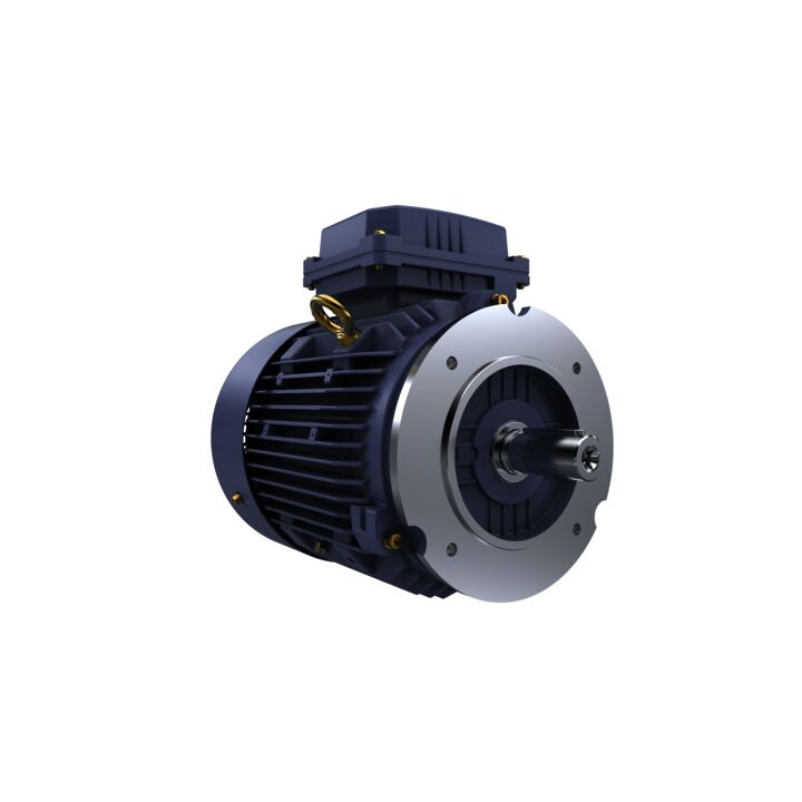 Cast Iron Motor, 4 HP, 3 Ph, 50 Hz, 400 V, 1500 RPM, 100L Frame, TEFC