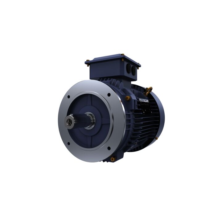 Cast Iron Motor, 7.50 HP, 3 Ph, 50 Hz, 400 V, 1500 RPM, 132S Frame, TEFC