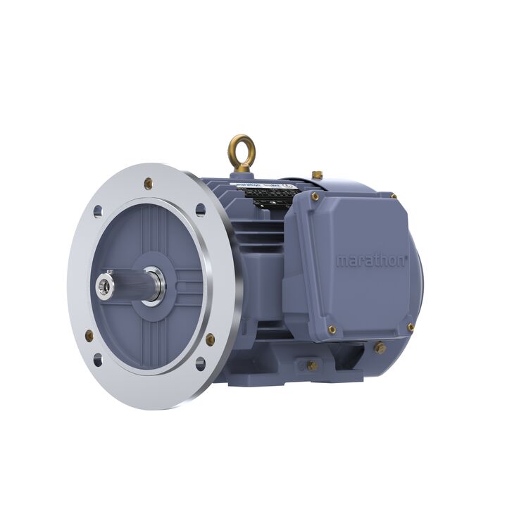 Cast Iron Motor, 4 HP, 3 Ph, 50 Hz, 380 V, 3000 RPM, 100L Frame, TEFC