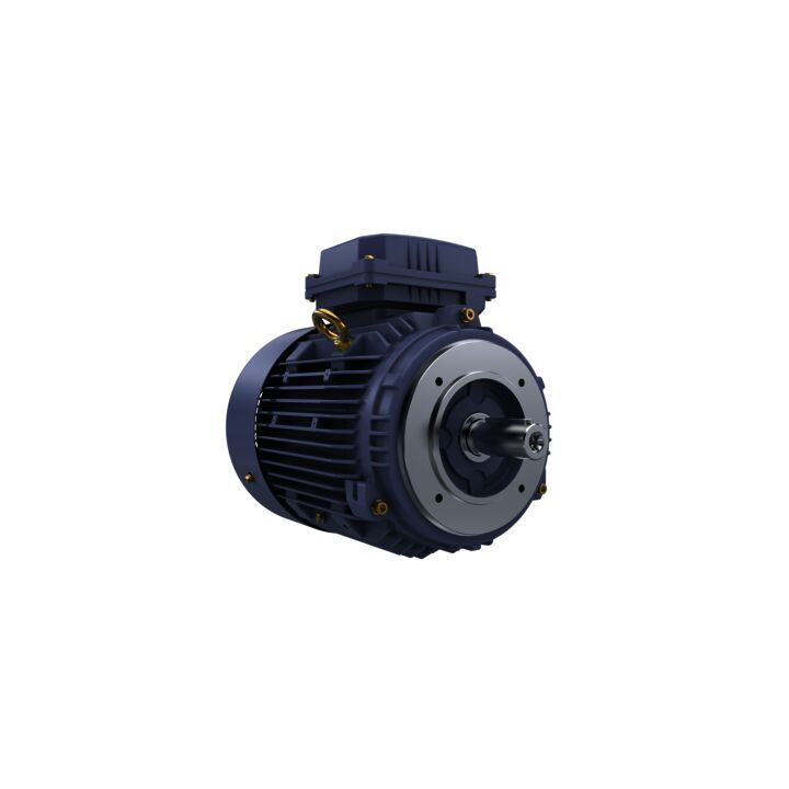 Cast Iron Motor, 4 HP, 3 Ph, 50 Hz, 400 V, 1500 RPM, 100L Frame, TEFC