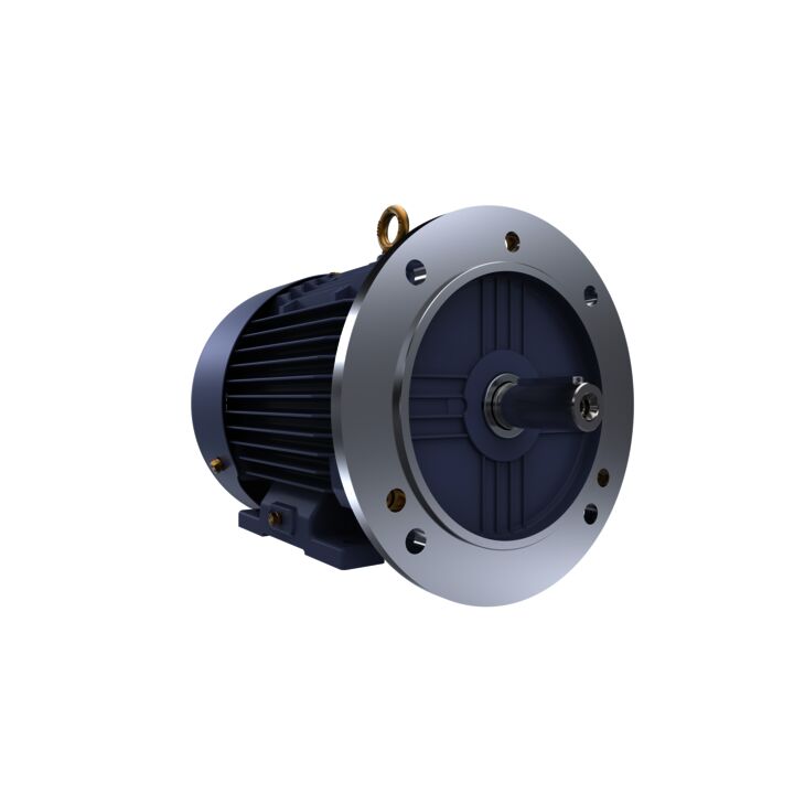 Cast Iron Motor, 4 HP, 3 Ph, 50 Hz, 415 V, 1500 RPM, 100L Frame, TEFC