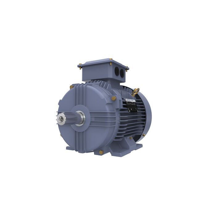Cast Iron Motor, 7.50 HP, 3 Ph, 50 Hz, 380/660 V, 1500 RPM, 132S Frame, TEFC
