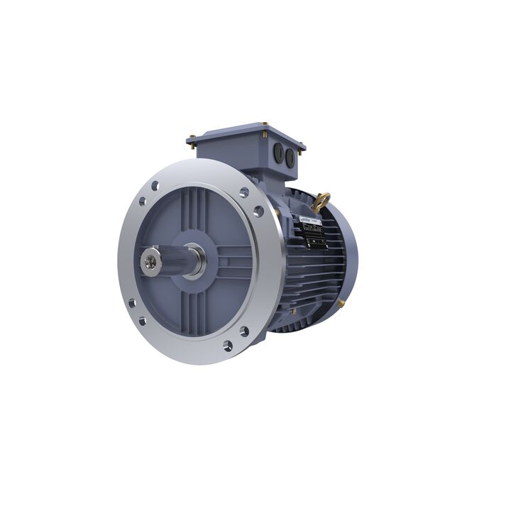 Cast Iron Motor, 7.50 HP, 3 Ph, 50 Hz, 380/660 V, 1500 RPM, 132S Frame, TEFC
