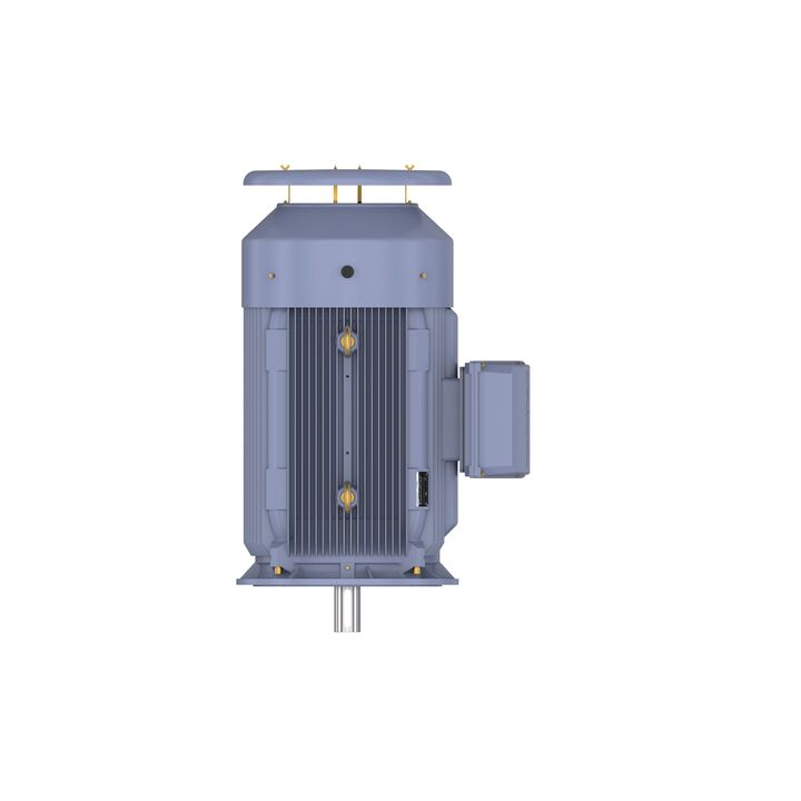 Cast Iron Motor, 375 HP, 3 Ph, 50 Hz, 415 V, 1000 RPM, 355L Frame, TEFC