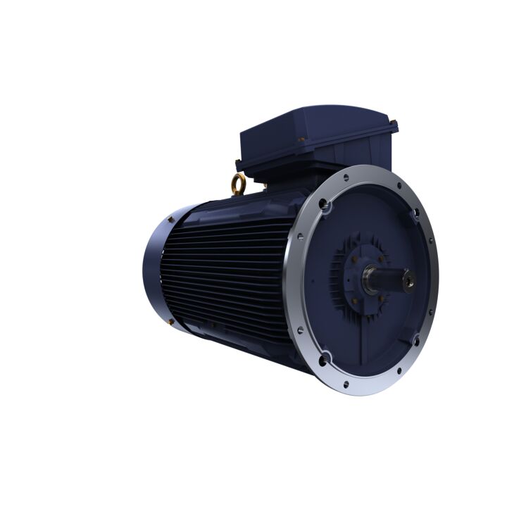 Cast Iron Motor, 215 HP, 3 Ph, 50 Hz, 380/660 V, 750 RPM, 355M Frame, TEFC