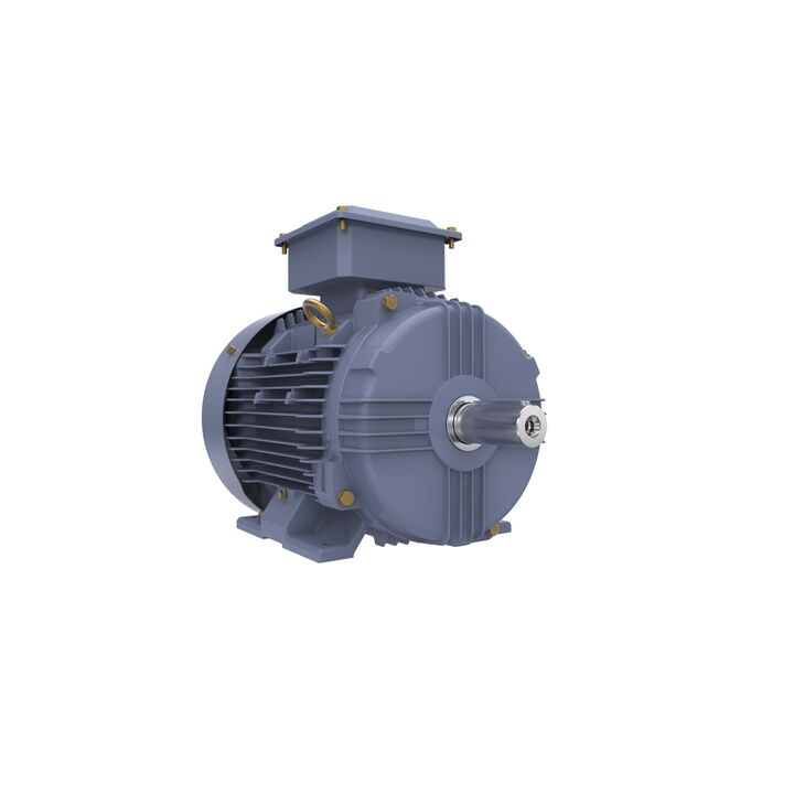 Cast Iron Motor, 7.50 HP, 3 Ph, 50 Hz, 380/660 V, 1000 RPM, 132M Frame, TEFC