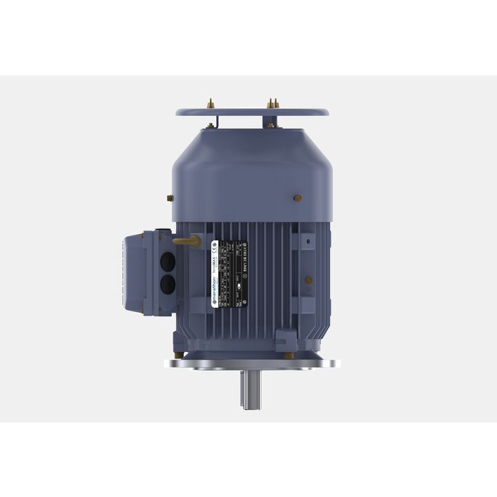 Cast Iron Motor, 4 HP, 3 Ph, 50 Hz, 380 V, 3000 RPM, 100L Frame, TEFC